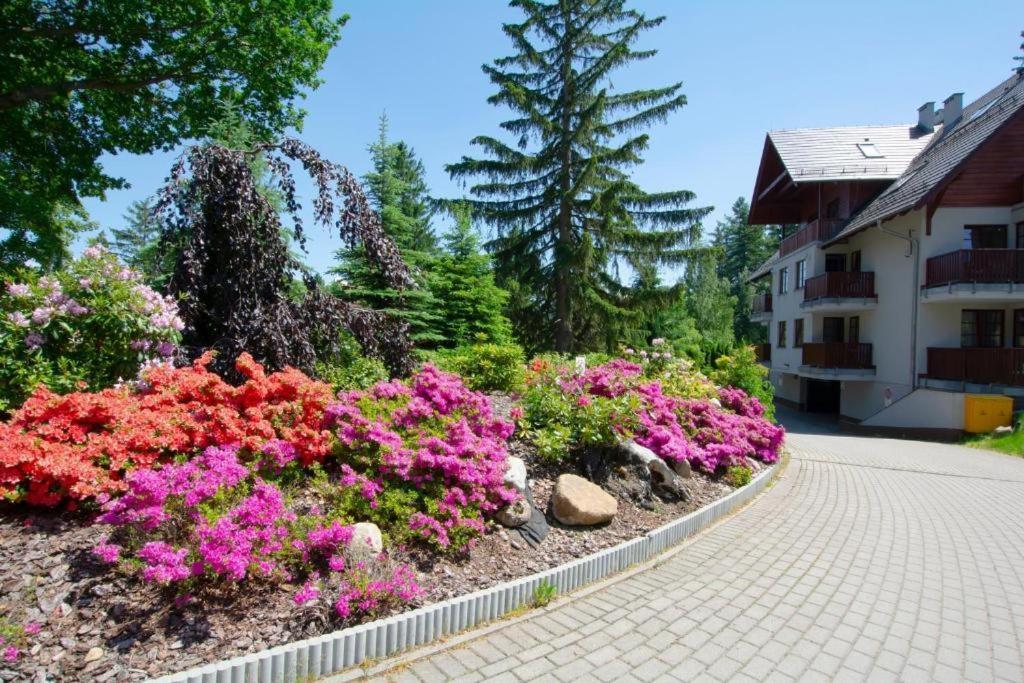 Apartament Polana-Karpacz Exterior photo
